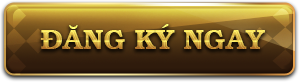 đăng ký G666